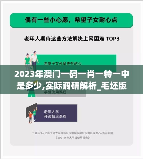 2023年澳門一碼一肖一特一中是多少,實際調研解析_毛坯版DKL4.52