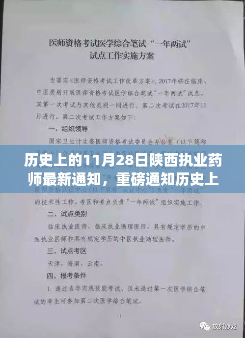 陜西執業藥師最新動態揭秘，歷史上的11月28日重磅通知發布在即！