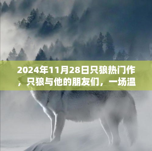 只狼與他的朋友們，一場溫馨的冒險之旅（2024年11月28日）