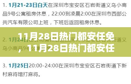 11月28日熱門都安任免步驟指南，適合初學者與進階用戶