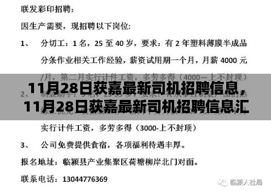 11月28日獲嘉司機招聘信息大全，掌握未來職業(yè)機遇的鑰匙