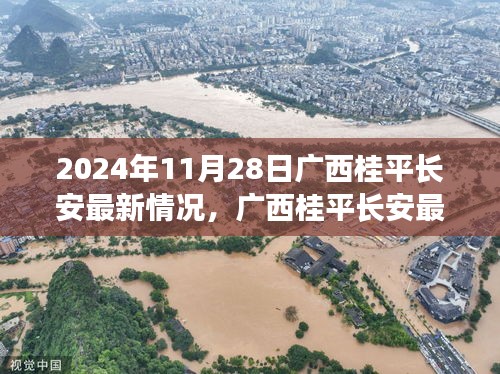 廣西桂平長安最新動態，任務指南與一覽（2024年11月28日）