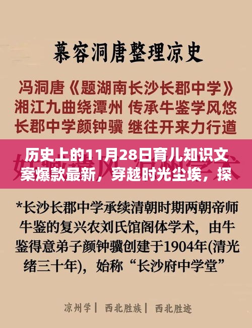 歷史上的11月28日育兒知識(shí)背后的故事，探尋育兒寶藏，揭秘爆款文案背后的故事。