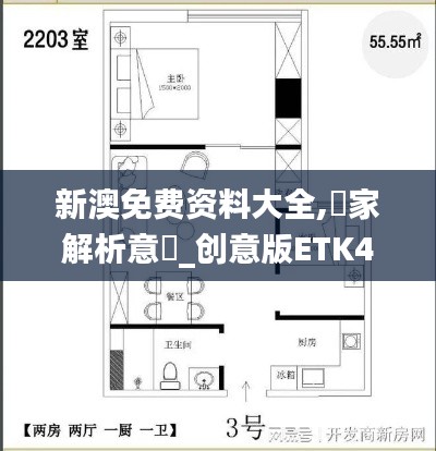 新澳免費(fèi)資料大全,專家解析意見(jiàn)_創(chuàng)意版ETK49.355