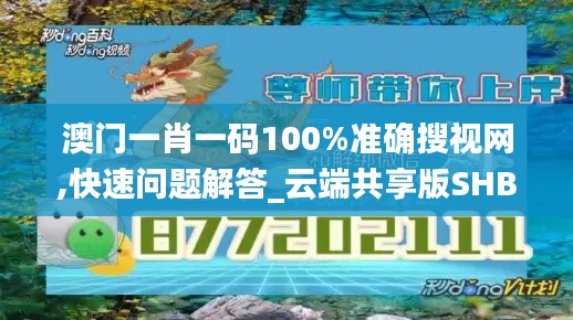 澳門一肖一碼100%準確搜視網,快速問題解答_云端共享版SHB80.288