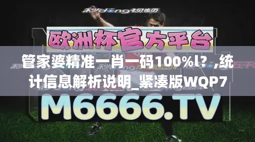 管家婆精準一肖一碼100%l？,統計信息解析說明_緊湊版WQP7.315