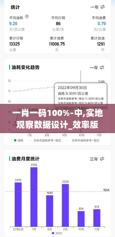 一肖一碼100%-中,實地觀察數據設計_效率版MJY45.875