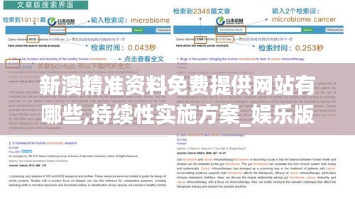 新澳精準資料免費提供網站有哪些,持續性實施方案_娛樂版RCO7.606