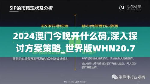 2024澳門今晚開什么碼,深入探討方案策略_世界版WHN20.799