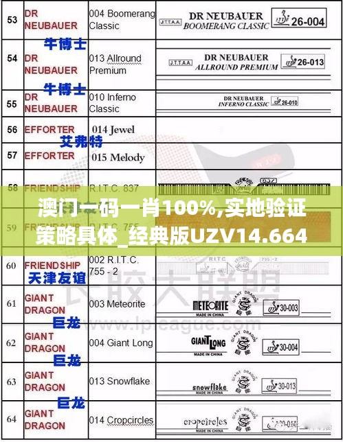 澳門一碼一肖100%,實地驗證策略具體_經典版UZV14.664