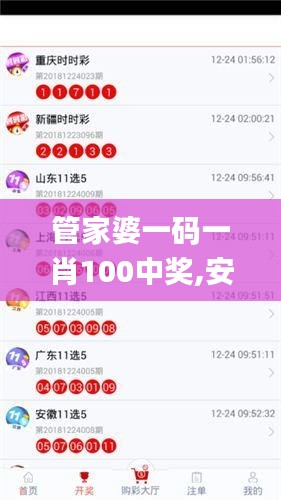 管家婆一碼一肖100中獎,安全保障措施_1440pVRY39.599