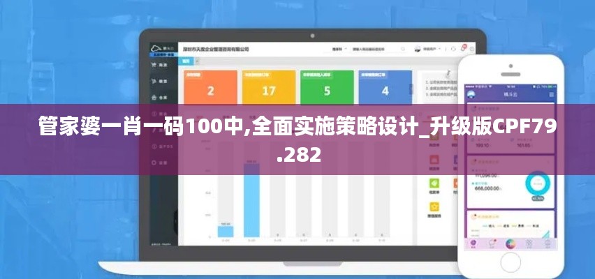 管家婆一肖一碼100中,全面實施策略設計_升級版CPF79.282