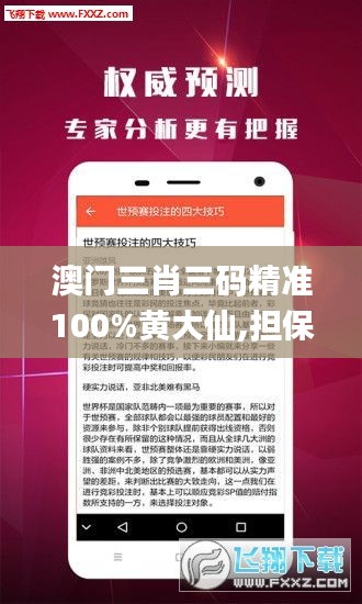 澳門三肖三碼精準100%黃大仙,擔保計劃執(zhí)行法策略_復古版UWJ30.924