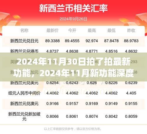 2024年11月新功能深度解析，用戶體驗、競品對比與目標用戶群體分析