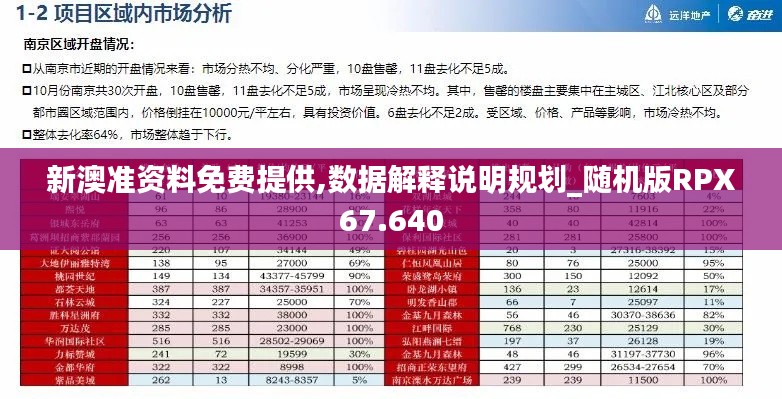 新澳準資料免費提供,數據解釋說明規劃_隨機版RPX67.640