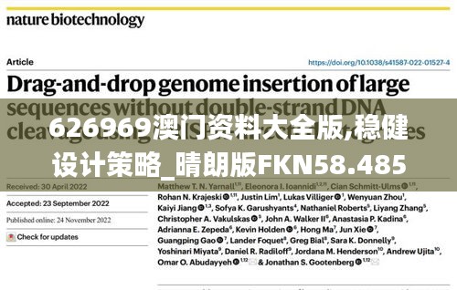 626969澳門資料大全版,穩健設計策略_晴朗版FKN58.485