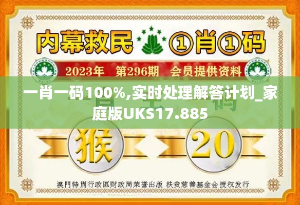 一肖一碼100%,實時處理解答計劃_家庭版UKS17.885