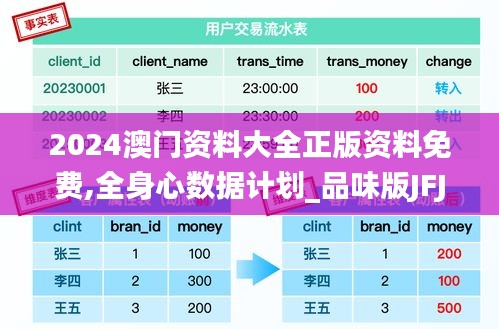 2024澳門資料大全正版資料免費,全身心數據計劃_品味版JFJ38.501