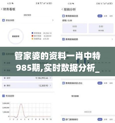 管家婆的資料一肖中特985期,實時數據分析_旅行助手版CJU22.670