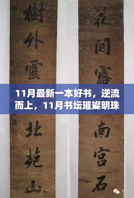 逆流而上，11月書壇璀璨明珠——最新好書〈XXXX〉解讀