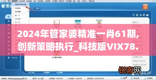 2024年管家婆精準一肖61期,創新策略執行_科技版VIX78.125