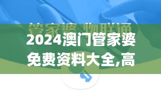 2024澳門管家婆免費資料大全,高效執行方案_銳意版YWH73.906