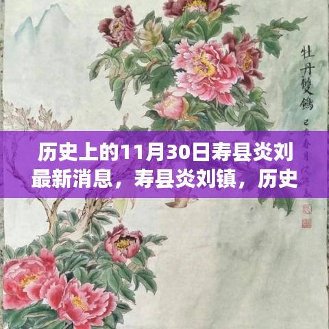 歷史上的壽縣炎劉鎮，最新發展篇章揭秘（最新消息）