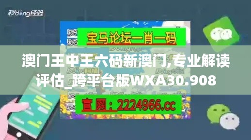 澳門(mén)王中王六碼新澳門(mén),專業(yè)解讀評(píng)估_跨平臺(tái)版WXA30.908