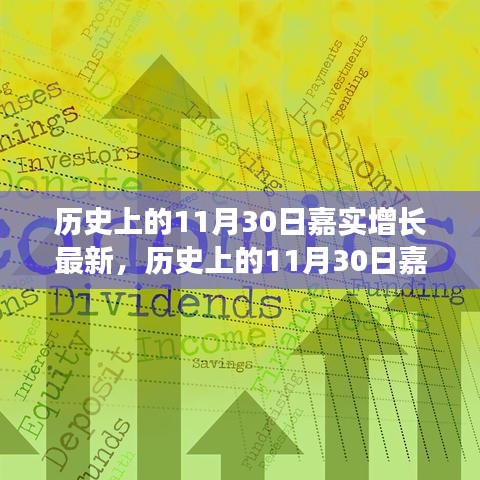 深度解析，嘉實增長在歷史上的11月30日最新動態與觀點闡述