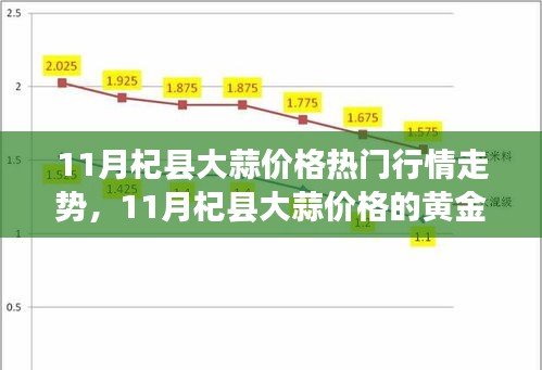 11月杞縣大蒜市場行情解析，黃金走勢、成長與自信之路