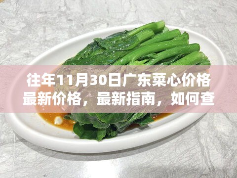 往年11月30日廣東菜心價(jià)格詳解，最新指南與查詢方法，適合初學(xué)者與進(jìn)階用戶參考