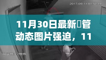 11月30日最新熱門動態(tài)圖片，潮流風尚的引領者