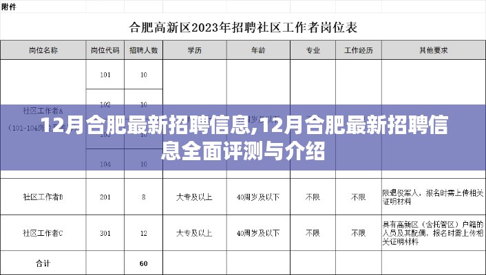 合肥最新招聘資訊，全面評(píng)測(cè)與詳細(xì)介紹