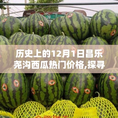 昌樂堯溝西瓜12月1日價格走勢分析，歷史熱門價格指南