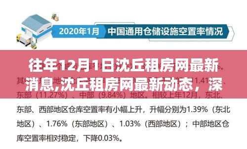 往年12月1日沈丘租房網最新動態與房源解析，深度解讀與用戶體驗報告