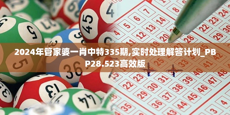 2024年管家婆一肖中特335期,實時處理解答計劃_PBP28.523高效版