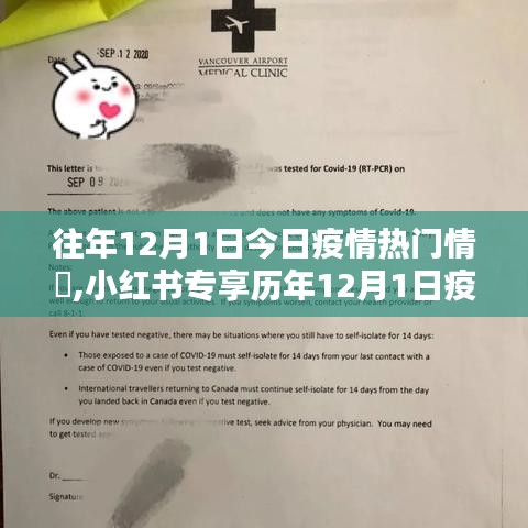 小紅書專享歷年疫情熱點深度解析，歷年12月1日疫情熱門情況回顧與解析