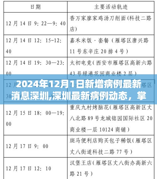 2024年深圳最新病例動態及應對策略，掌握新增病例查詢方法與應對技巧