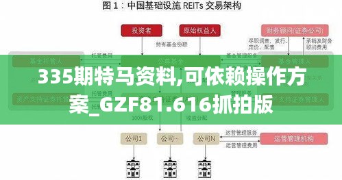 335期特馬資料,可依賴(lài)操作方案_GZF81.616抓拍版