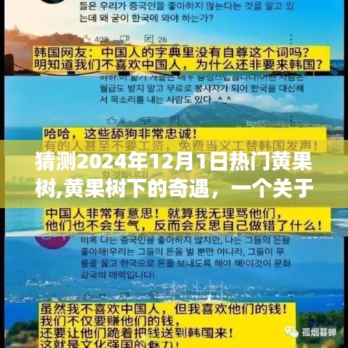 黃果樹下的溫情奇遇，友情、愛與陪伴的感人故事（猜測2024年12月1日熱門話題）