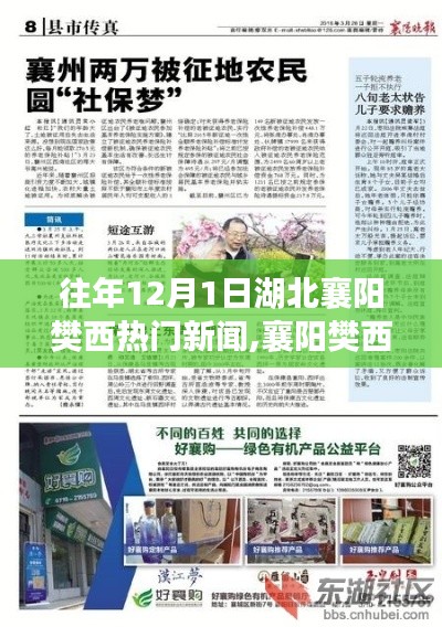 湖北襄陽樊西地區(qū)歷年12月1日熱門新聞回顧，事件、影響與時代地位概覽