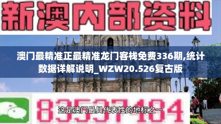 澳門最精準正最精準龍門客棧免費336期,統計數據詳解說明_WZW20.526復古版