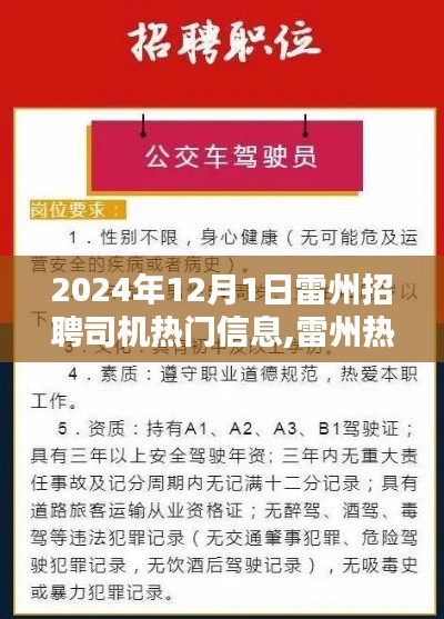 2024年雷州司機招聘熱門信息解析，尋找專業司機，開啟新征程