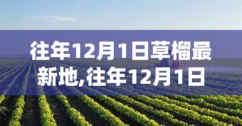 往年12月1日探訪草榴最新地，生態(tài)、科研與應(yīng)用價(jià)值深度探討