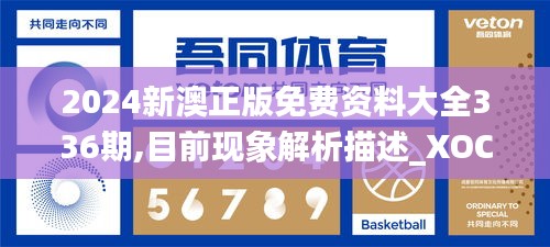 2024新澳正版免費資料大全336期,目前現(xiàn)象解析描述_XOC21.292多功能版