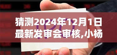 小楊的發審會奇遇，2024年12月1日的溫馨猜想與最新發審會審核展望