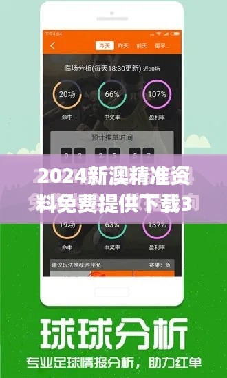 2024新澳精準資料免費提供下載336期,執行驗證計劃_CQC66.319后臺版