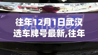 武漢選車牌號最新動態解讀，選號策略與趨勢分析（往年12月1日更新）