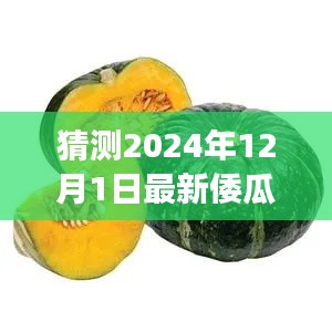 瓜價風云，溫馨預測倭瓜價格之旅，2024年12月1日的瓜市展望