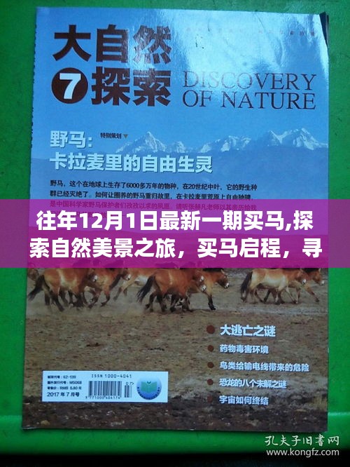 買馬啟程，探索自然美景之旅，尋找內心的寧靜與平和